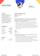 CV Template